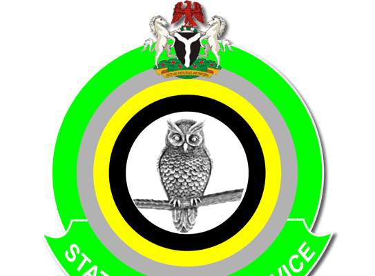 The DSS Operates Within It’s Mandate